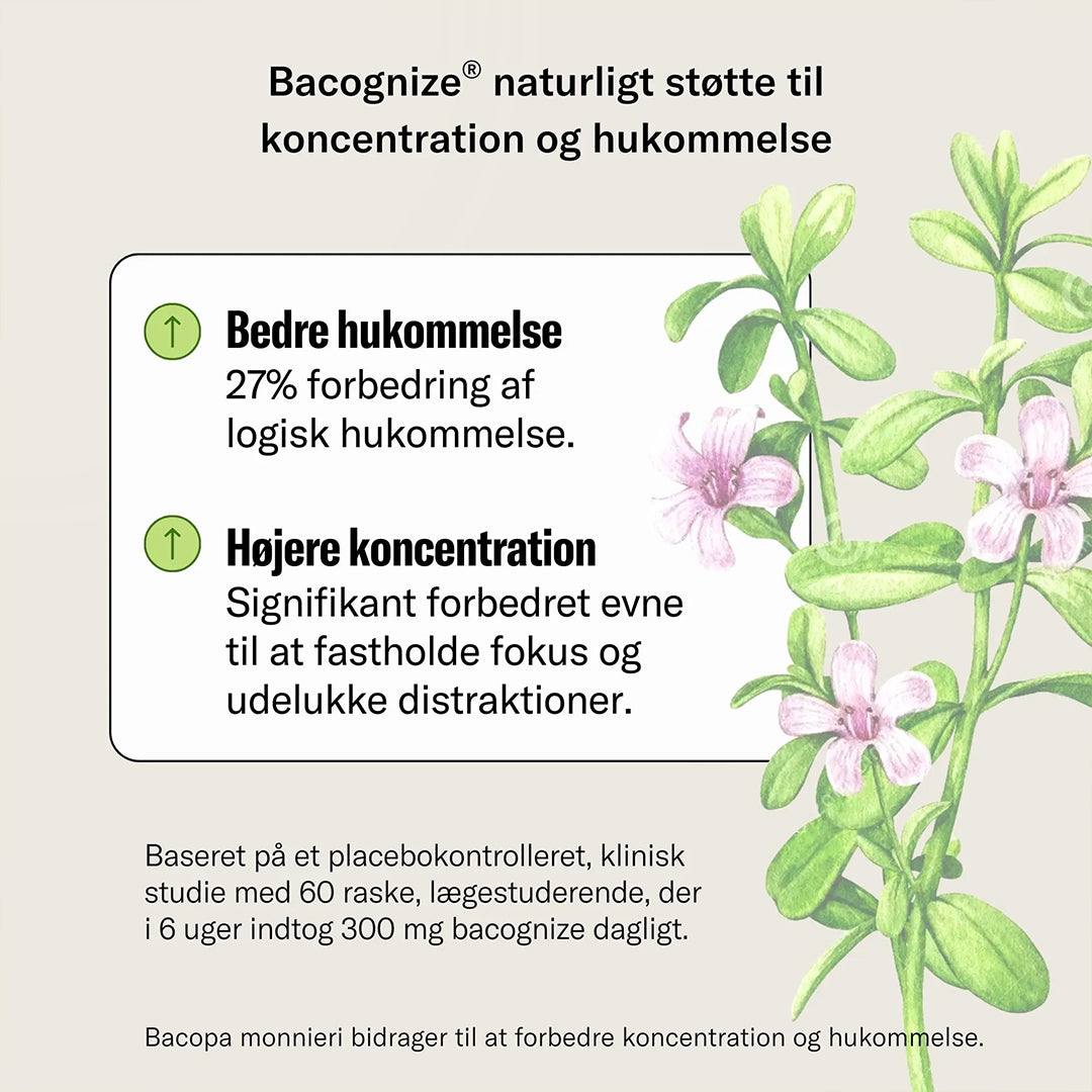 Nutrinic Fokus