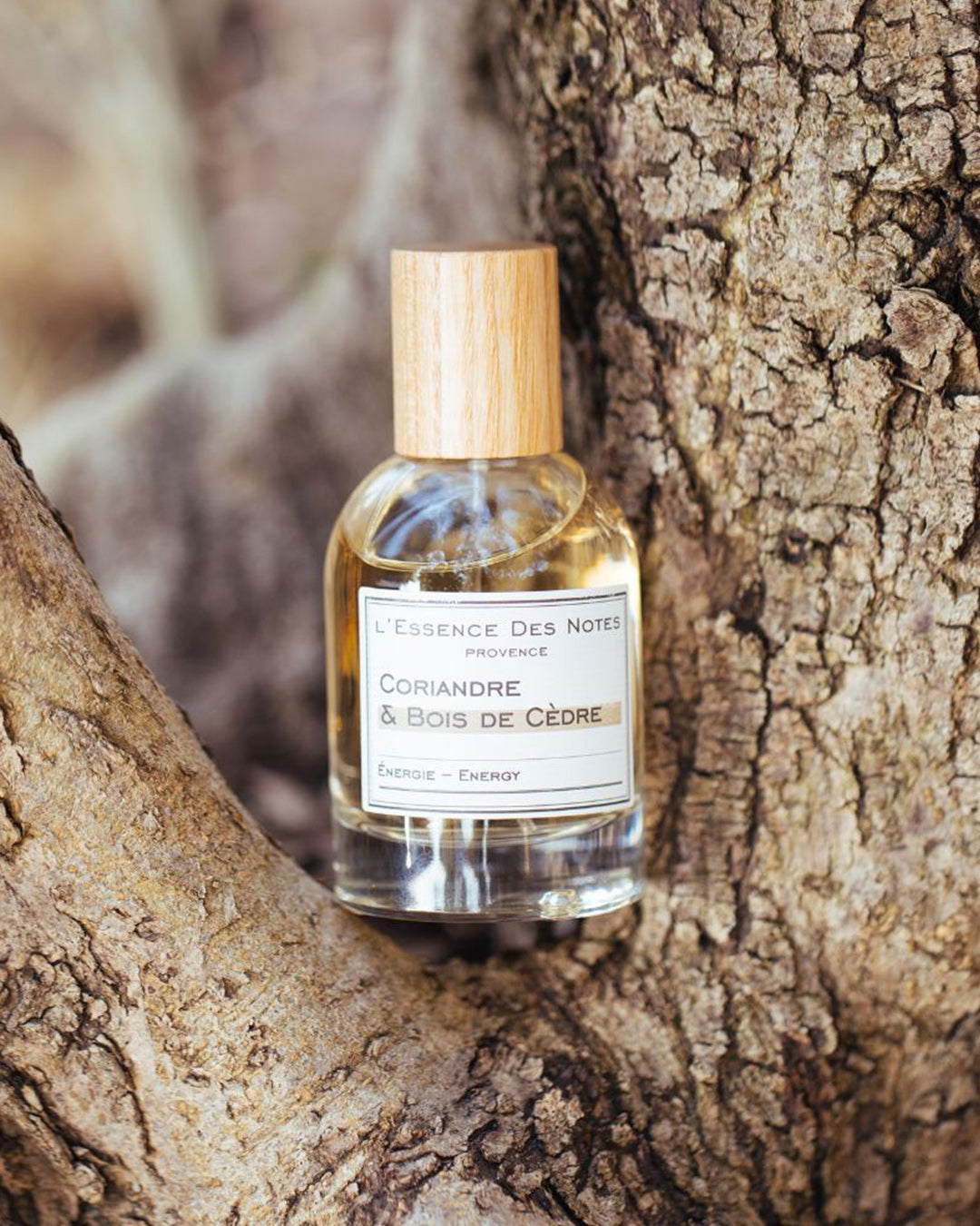 Coriander & Cedarwood